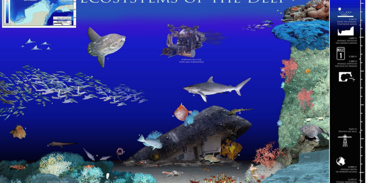 Deep-Sea Ecosystem Mapping: Cosma Secures €2.5M Funding