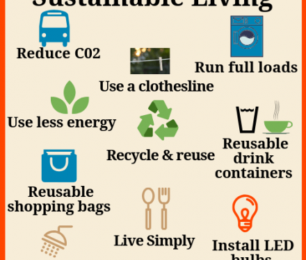 Sustainable Living Tips: 5 Easy Ways to Live Greener
